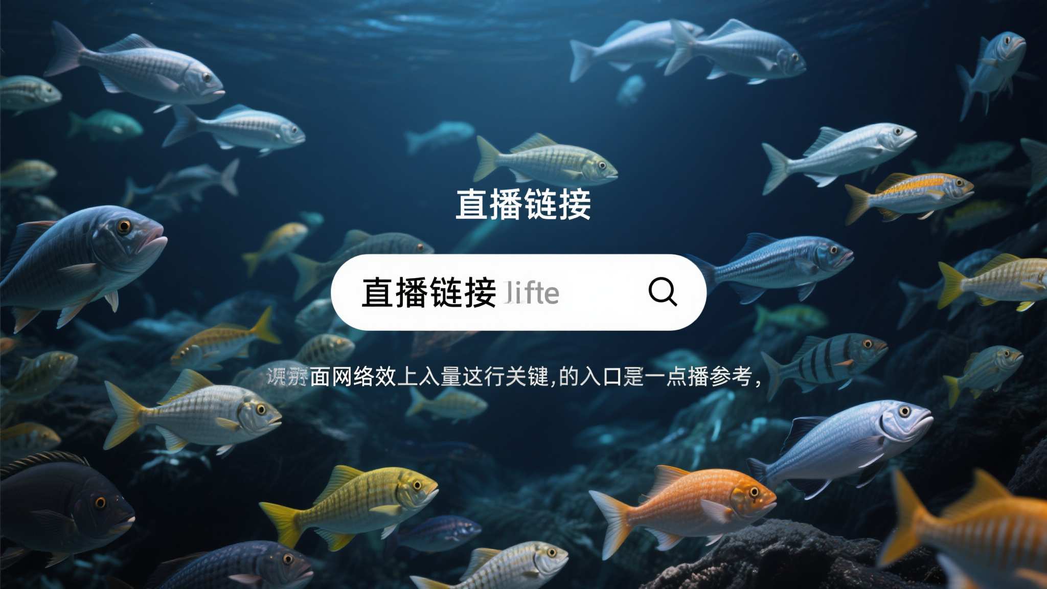 世界杯平台简介